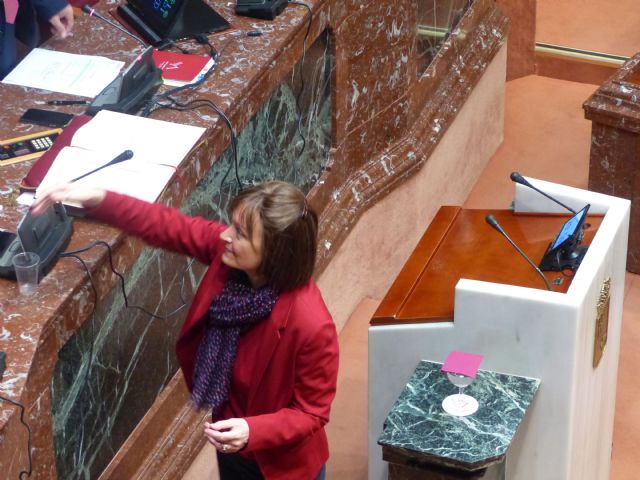 María Marín, nueva diputada de Podemos, toma posesión del escaño - 1, Foto 1