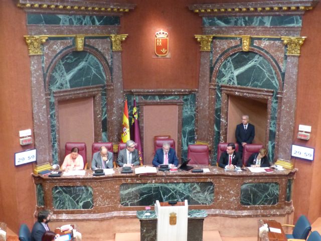 La Asamblea respalda la adopción de medidas para garantizar la unidad de España y la legalidad constitucional - 1, Foto 1