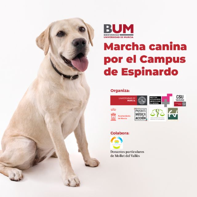 La Universidad de Murcia organiza una marcha canina por el campus de Espinardo - 1, Foto 1