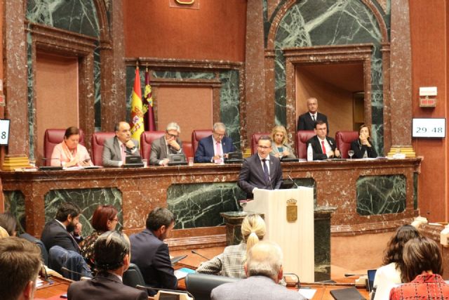 El Grupo Parlamentario Socialista presenta un paquete de quince medidas en la Asamblea Regional para la recuperación del Mar Menor - 1, Foto 1