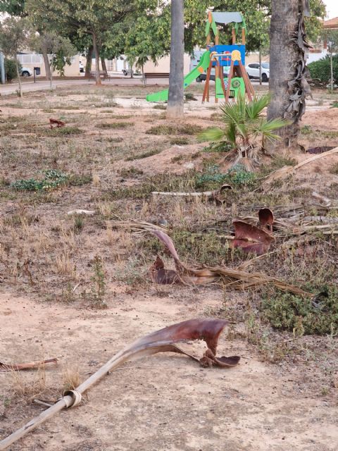 Sí Cartagena exige que se adecente el parque de la calle Mozos de Santa Ana - 2, Foto 2