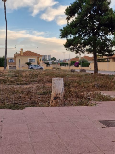 Sí Cartagena exige que se adecente el parque de la calle Mozos de Santa Ana - 3, Foto 3