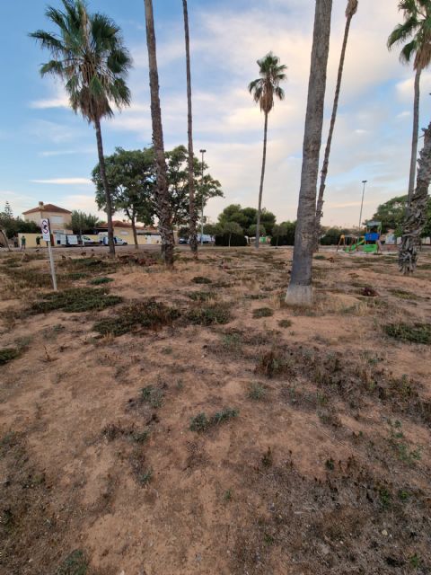 Sí Cartagena exige que se adecente el parque de la calle Mozos de Santa Ana - 4, Foto 4