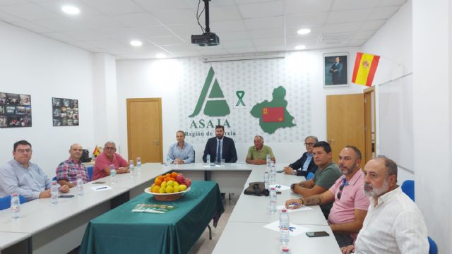 ASAJA Murcia denuncia que las políticas europeas y del Gobierno de España están provocando daños irreparables al sector agrario - 1, Foto 1