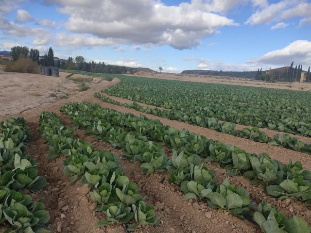 4ª Ruta de Difusión y Reivindicativa del Agua y del Patrimonio Natural del Noroeste - 4, Foto 4