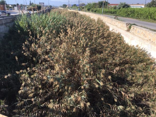 Ciudadanos exige en el Congreso la limpieza urgente y obras de reparación en el Canal del Reguerón en Murcia - 2, Foto 2