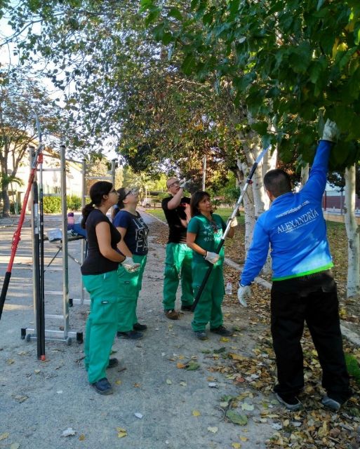 Agricultura facilita el intercambio de alumnos de centros europeos para realizar prácticas en los Cifea de la Región - 1, Foto 1