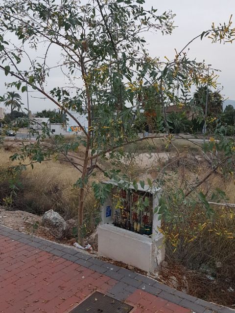 Cambiemos Murcia denuncia el estado de abandono de la zona de expansión de Guadalupe - 4, Foto 4