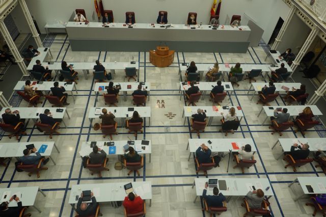 La Asamblea Regional aprueba una declaración institucional con motivo del día universal de la infancia - 1, Foto 1