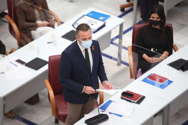 Joaquín Segado: En el PP tenemos claro que unos presupuestos condicionados por Rufián y Otegi serán muy malos para la Región de Murcia - 1, Foto 1