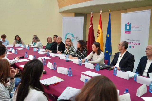 La Comunidad presenta al Observatorio de Igualdad el borrador del II Pacto regional contra la Violencia de Género - 1, Foto 1