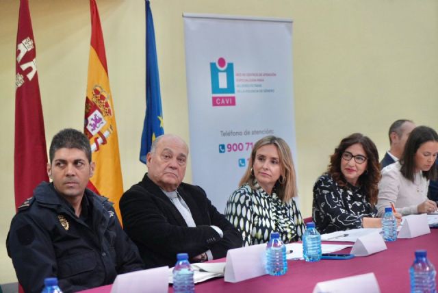 La Comunidad presenta al Observatorio de Igualdad el borrador del II Pacto regional contra la Violencia de Género - 2, Foto 2