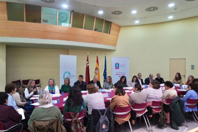 La Comunidad presenta al Observatorio de Igualdad el borrador del II Pacto regional contra la Violencia de Género - 3, Foto 3