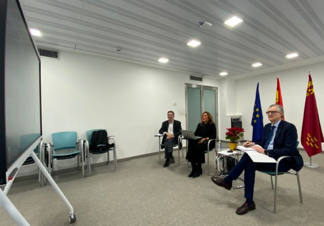 Salud reclama en el pleno de la Comisión de Recursos Humanos de Sanidad medidas urgentes para resolver la falta de profesionales sanitarios - 1, Foto 1