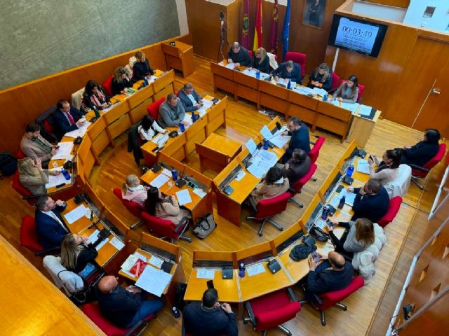 El Pleno reclama al Gobierno de la Nación financiación para acometer las principales necesidades del municipio - 1, Foto 1