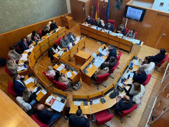 El Ayuntamiento reclama al Gobierno de la Nación que financie una batería de proyectos y el incremento de plantillas de Policía Nacional y Guardia Civil - 2, Foto 2