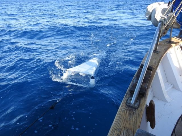 ANSE retira 900 kg de basuraleza marina en las costas del sureste - 1, Foto 1