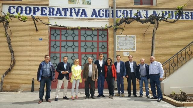 La Región cuenta con cerca de 10.500 hectáreas de viñedos certificados como ecológicos - 1, Foto 1