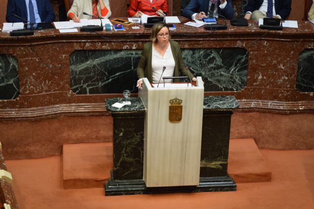 El PP solicita en la Asamblea medidas para reforzar la competitividad de las empresas - 1, Foto 1