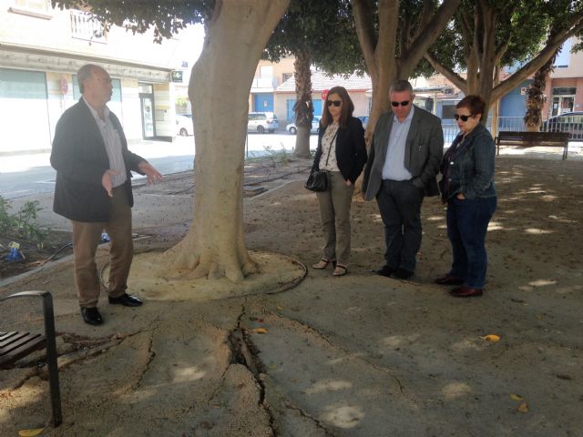 El PSOE reclama que se agilicen las obras de pedanías como el jardín de San Ginés, que lleva años a oscuras y con el pavimento levantado - 2, Foto 2