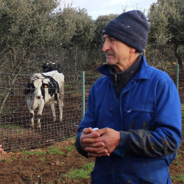 Los consumidores de ¿Quién es el jefe? votan a favor de aumentar la remuneración de los ganaderos en 7 céntimos por litro de leche - 2, Foto 2