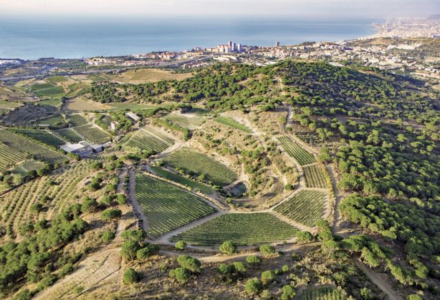 Con el nuevo sello Elaborador Integral, Alta Alella vuelve a ser pionera de la garantía, trazabilidad y calidad del Cava - 1, Foto 1