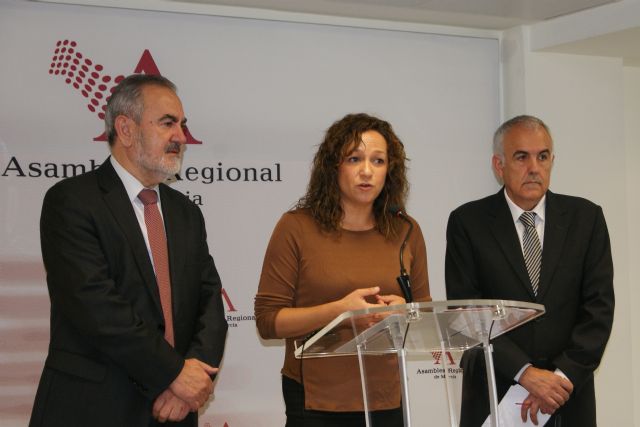 El PSOE celebra la aprobación de la Ley de Igualdad social - 1, Foto 1