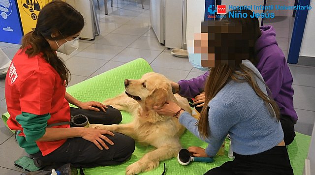 Purina, El Hospital Niño Jesús y la URJC identifican mejorías en la salud mental de los adolescentes con Trastornos de la Conducta Alimentaría que reciben terapias asistidas con perros - 1, Foto 1