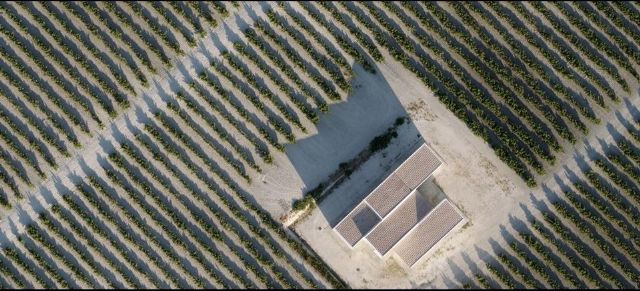 Las DOPs de Córdoba, Málaga y Huelva zonifican y ponen en valor sus pagos vitícolas a través de GO Pagos - 1, Foto 1