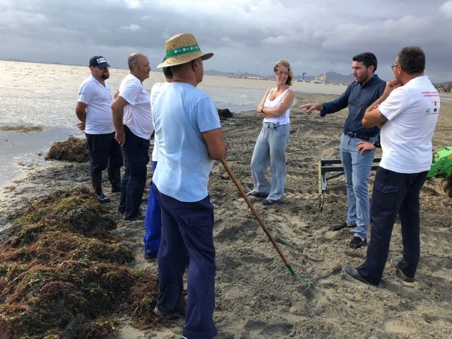 Las brigadas de limpieza del Mar Menor retiran 450 metros cúbicos de algas y residuos orgánicos de aguas de la laguna - 2, Foto 2