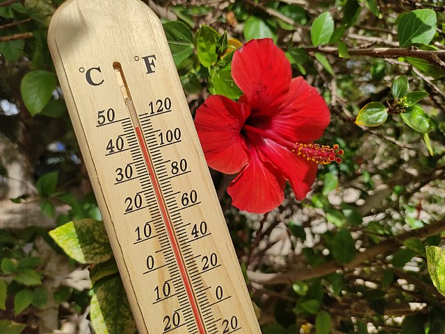 Por qué el calor afecta al sueño de los adultos y cómo combatirlo para alcanzar un descanso de calidad - 1, Foto 1