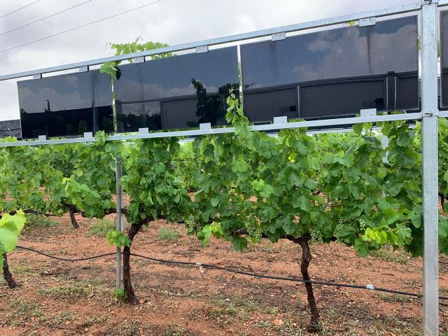 Compatibilizar la producción energética y la agrícola ante la actual situación climática - 1, Foto 1