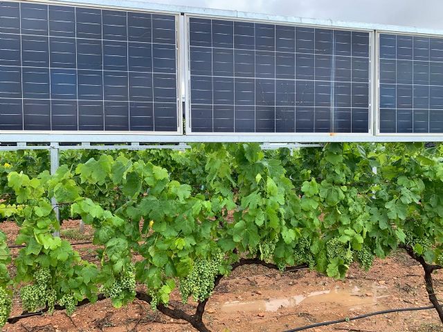 Compatibilizar la producción energética y la agrícola ante la actual situación climática - 2, Foto 2