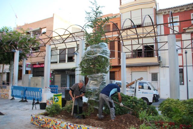 Dos cedros nuevos para el Jardn de los Patos y La Cubana, Foto 2