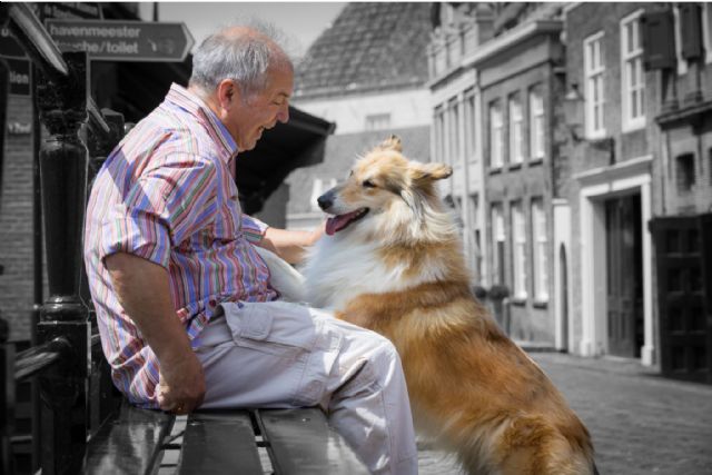 El vínculo humano-animal, beneficioso para los pacientes con Alzheimer y demencia - 1, Foto 1