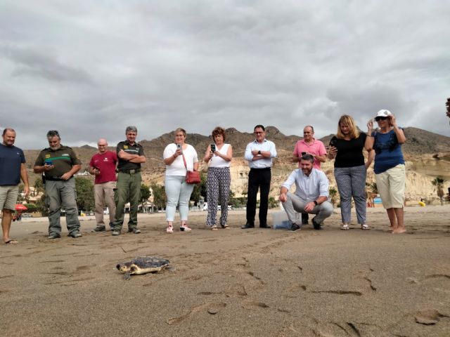 La Comunidad libera en Bolnuevo una tortuga boba tras ser tratada en el Centro de Recuperación de Fauna Silvestre - 1, Foto 1