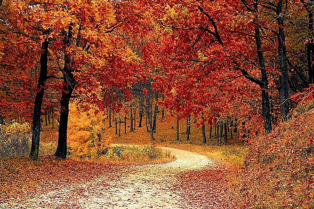 La ocupación turística este otoño en España será de alrededor del 80% - 1, Foto 1