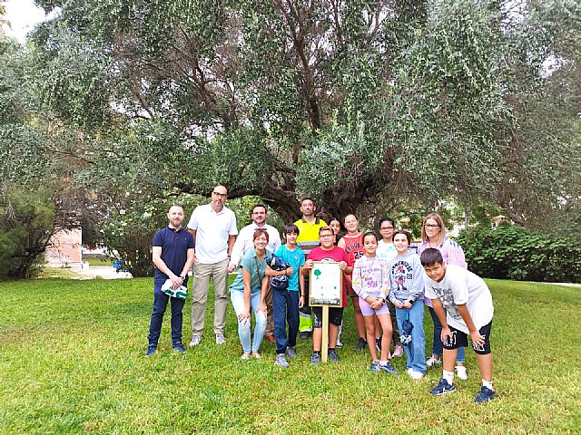 Los árboles de Cieza, en la campaña EUTreetag. Hacer visible el valor de los árboles - 1, Foto 1