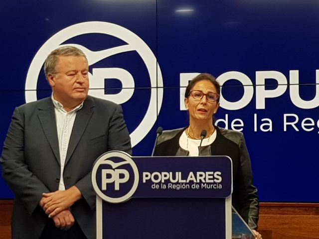 Ofensiva del  PP, en Parlamentos y municipios, exigiendo los compromisos  adquiridos por el anterior Gobierno de España para la Región en materia de autovías - 2, Foto 2