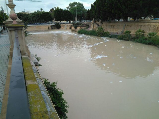 Huermur pide al Gobierno que intervenga ante la incapacidad de la CHS, la Comunidad y el Ayto. para acabar con las espumas del Segura - 1, Foto 1