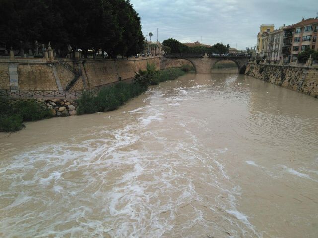 Huermur pide al Gobierno que intervenga ante la incapacidad de la CHS, la Comunidad y el Ayto. para acabar con las espumas del Segura - 2, Foto 2