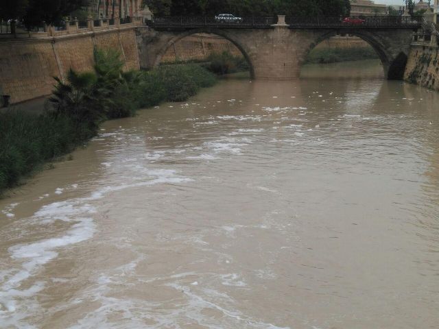 Huermur pide al Gobierno que intervenga ante la incapacidad de la CHS, la Comunidad y el Ayto. para acabar con las espumas del Segura - 3, Foto 3