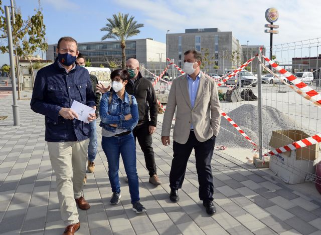 Desarrollo Urbano comienza la apertura de alcorques para la plantación de nuevo arbolado en calles deforestadas - 3, Foto 3