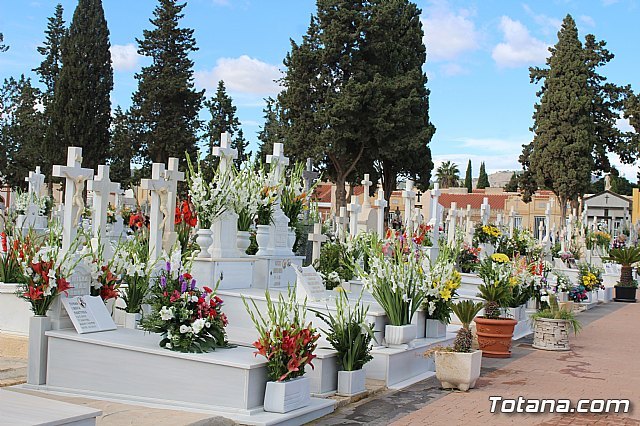 ECONOMÍA / Interflora llevará por primera vez flores a los cementerios en  el Día de Difuntos - murcia.com
