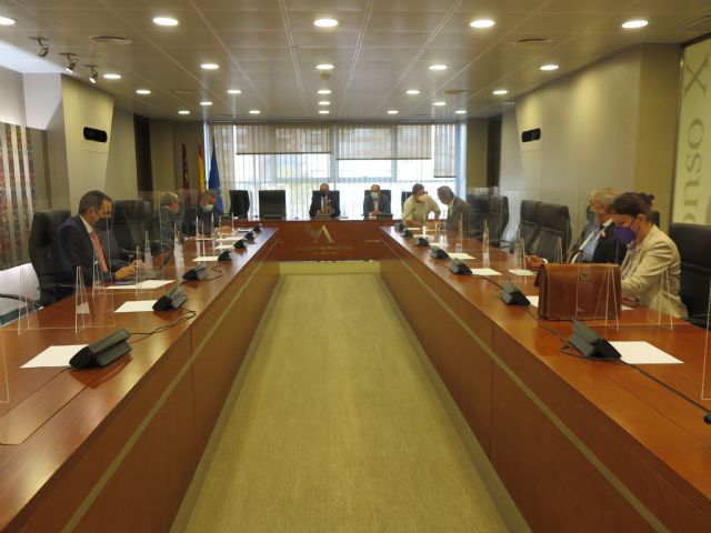 Pleno de impulso al Gobierno con una propuesta para crear la Comisión especial de Discapacidad - 1, Foto 1