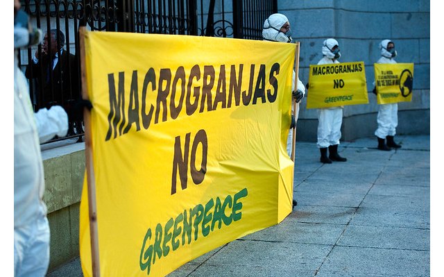 Greenpeace entrega más de 237.000 firmas ciudadanas contra las macrogranjas en el Ministerio para la Transición Ecológica - 1, Foto 1