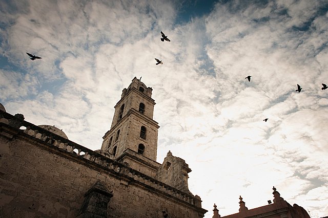 Día Internacional de las Catedrales: Plagas de aves, la amenaza que pone en riesgo el patrimonio histórico - 1, Foto 1