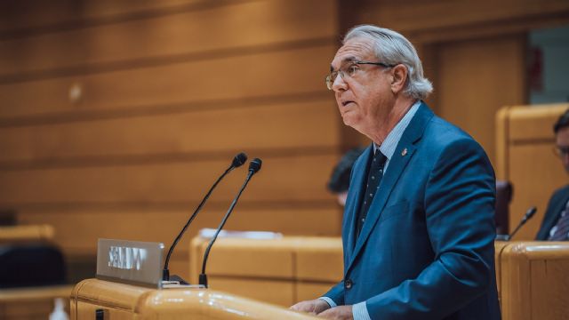 Marín califica el cierre de la línea Murcia-Albacete como una decisión política, injusta y arbitraria - 1, Foto 1