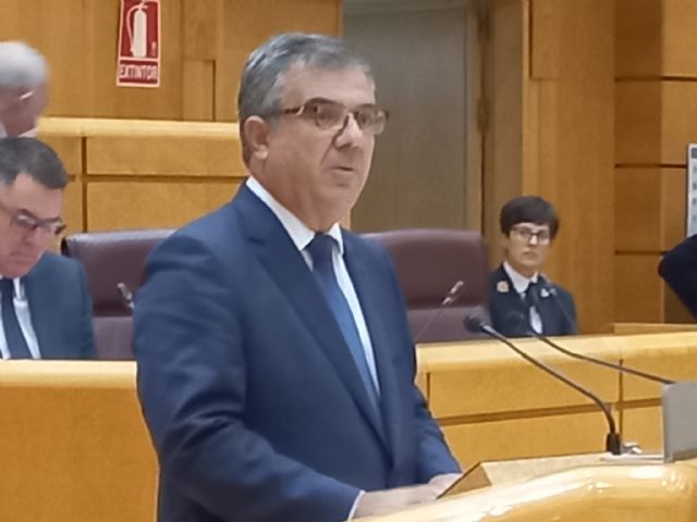 El PSOE vota en contra de mejorar las infraestructuras ferroviarias en la Región y de que el Gobierno de España se sume al Pacto por las Infraestructuras - 1, Foto 1