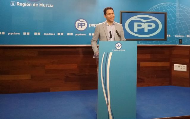 Teodoro García: Los murcianos podrán recibir hasta 20.000 euros para la compra de un vehículo eléctrico - 1, Foto 1